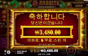 망할 토끼 ㅅㅂ