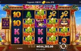 올만에 고냥이 상콤하게 ㅎㅎ