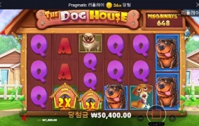 개집 이것들 정신 못차리네