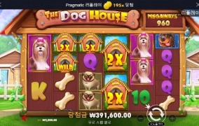 개집 상콤하게 출발