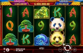 맥스윈 슬롯사이트에서 판다 갑니다.