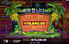 와일드바나나 맛봤어요