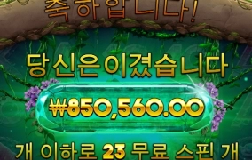 가토 메이햄 터졌네요