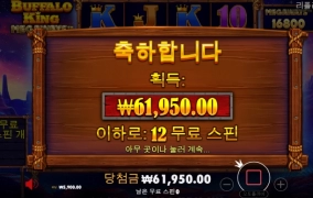 버팔로 찐짜증나네