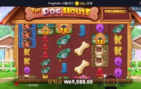 착하개는 어디가고 나쁜개놈들만 오니