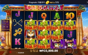 역시 고냥이 쵝오!!!!ㅎㅎㅎ