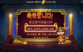 개보다 고양이지