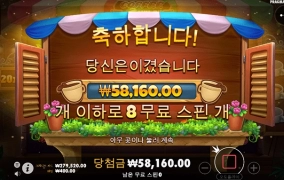 프라그마틱 커피와일드