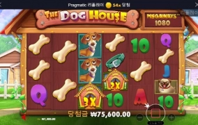 진짜 개같이 주네 아오 쌍늠들