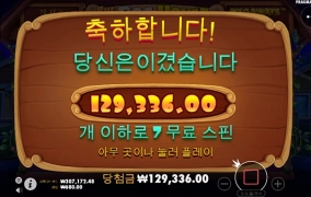 오전 강아지 산책