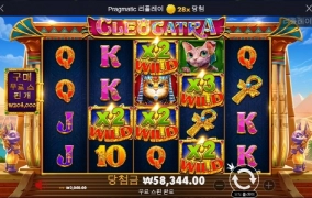 고냥아 너까지 이러면 나는 갈때가 없다 ㅠㅠ