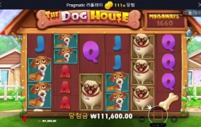 개집 출발 가자