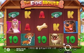 개집으로 스타트