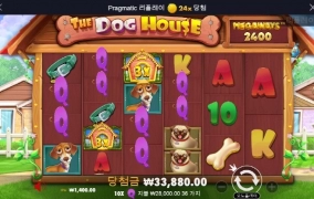 개놈시키들 된장 바를까보다