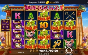 캐트라 짱이네요 ㅋ