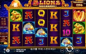 토끼로 망 라이언으로 다시도전