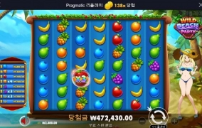 와일드 비치 ㅎㅎ