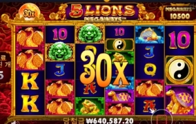 남자의게임은 역시 사자??~