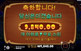 강아지 산책 다녀옴