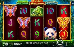 판다로 시작합니다.