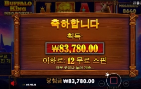 버팔로 후기ㅜㅜ