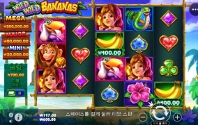 와일드 바나나 어렵네요