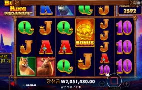 오늘은 버팔로킹 킹승