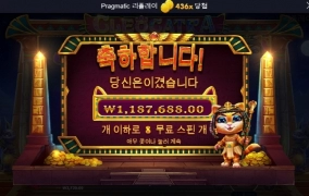 고냥이가 살려주네 ㅎㅎ