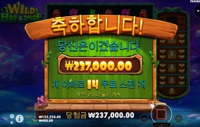 와일드 홉앤 드롭