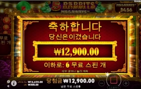 토끼다섯마리 올인후기