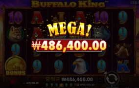 망한후기 버팔로탔습니다