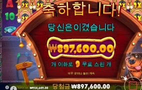 더 도그하우스 멀티~ 연습