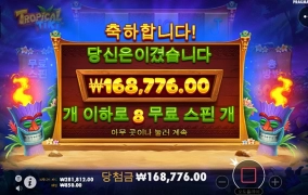 오늘은 너로 정했다