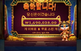 강남파티 고양이후기