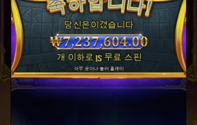 700만원 짜리 빅샷후기