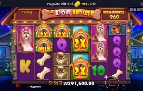 아침 출발은 강아지 산책