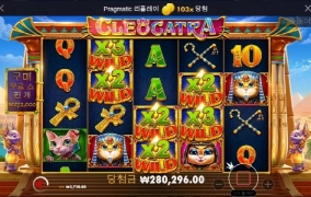 고냥이 먹죽먹죽 다시 온다