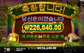 와일드 와일드 리치스