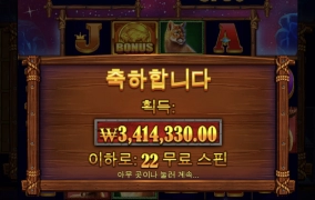 버팔로킹 578배 ㅅㅅㅅㅅㅅㅅㅅ