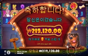 개집은 여전하네