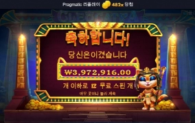 482배 클레오케트라 샷샷