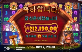 야밤에 강아지 산책