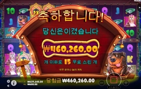 강아지 산책 시키고 왔네요~