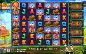 토끼정원....다 밀어버릴 예정