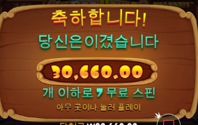 이 개늠시키들 진짜