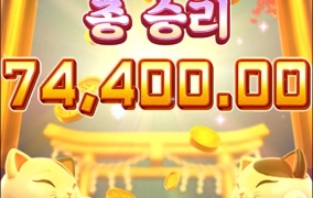 피지소프트 후기 럭키네코