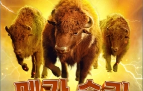 PG 사올린사커+황소