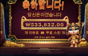 약빨 떨어진 고양이ㅠㅠ