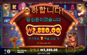 리뉴얼 개집 하지마세요ㅋㅋㅋㅋㅋㅋ