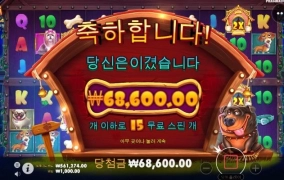 신규슬롯 개집 3